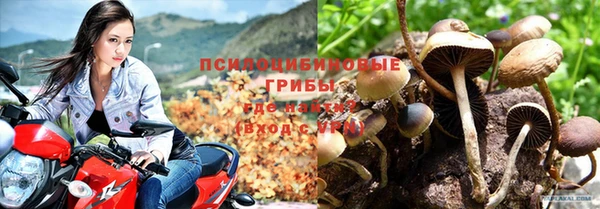 прущий лед Балахна