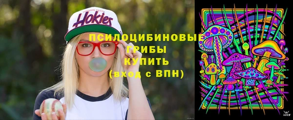 a pvp Пересвет