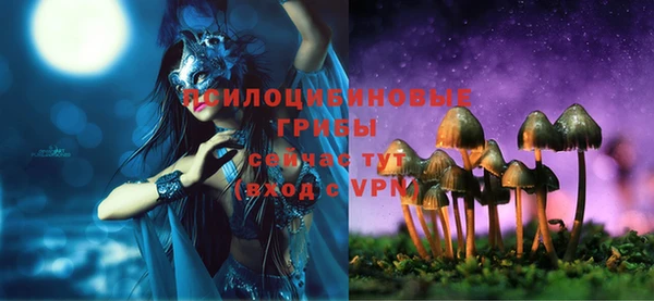 прущий лед Балахна
