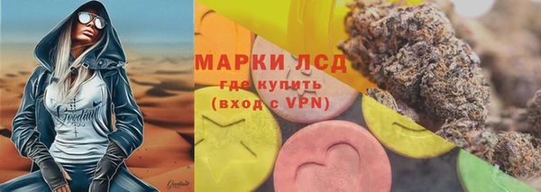 гашик Пестово